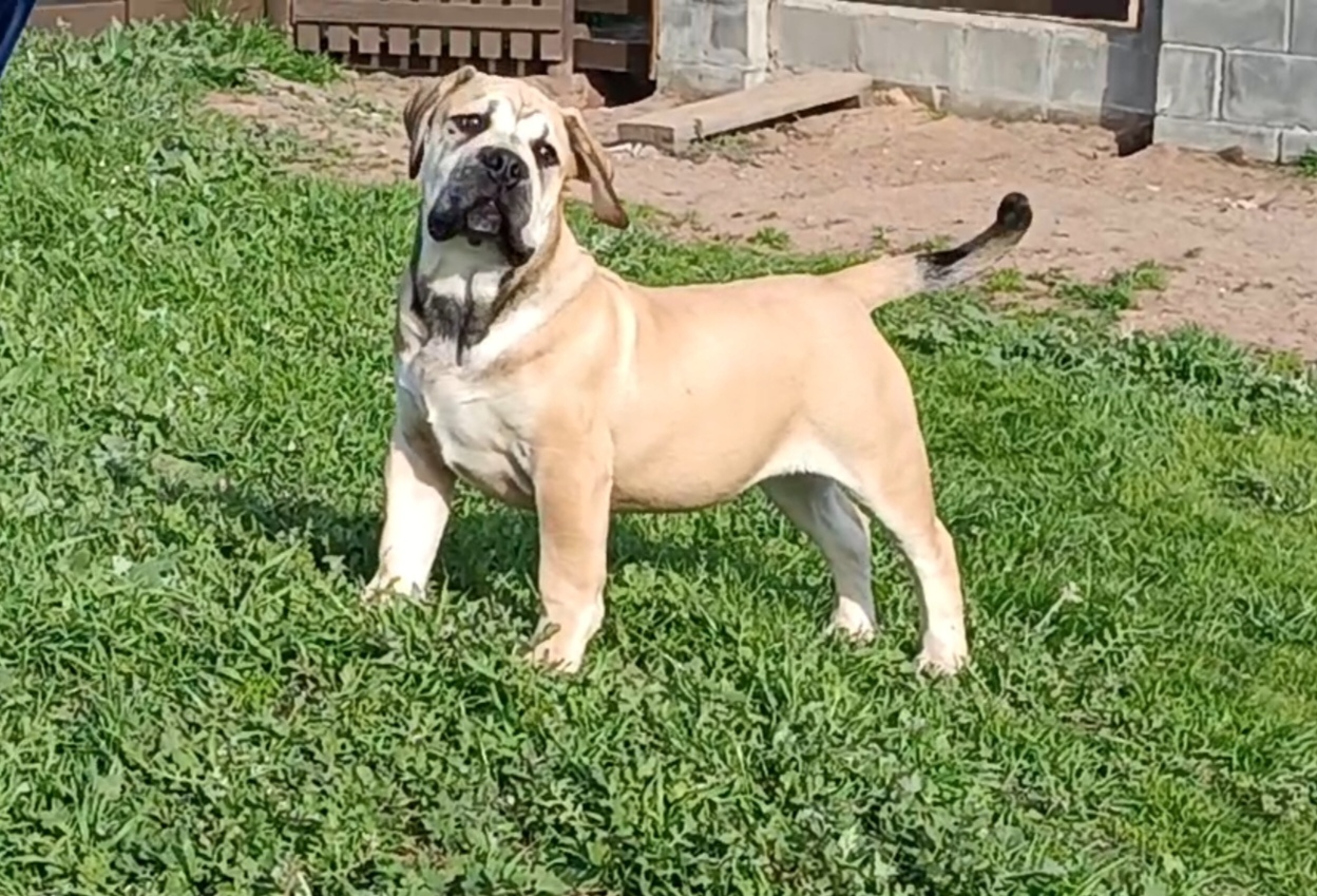 Slide background